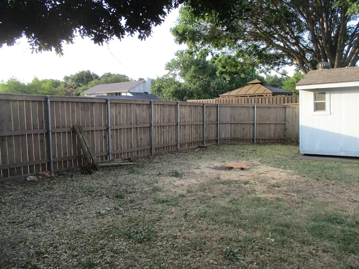Cleared yard after professional tree removal in Northport